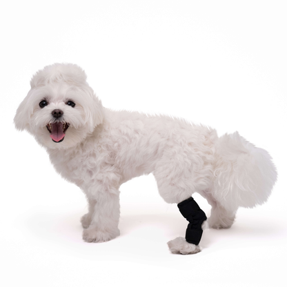 Hock Wrap for Dogs - Joint Protection