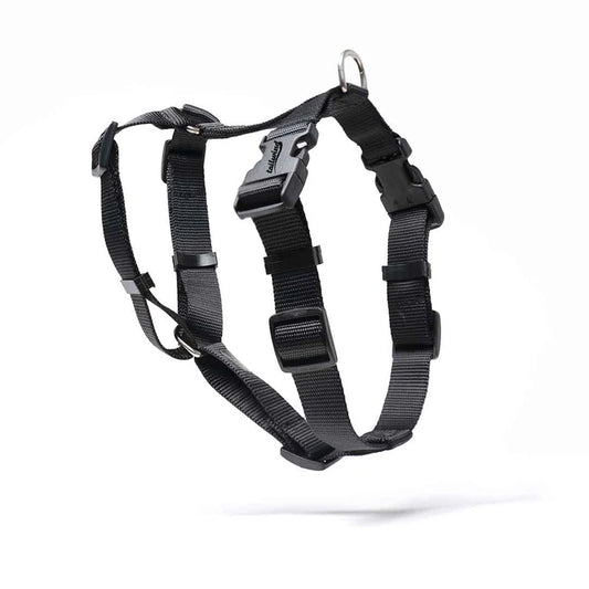 Orthopedic Dog Harness