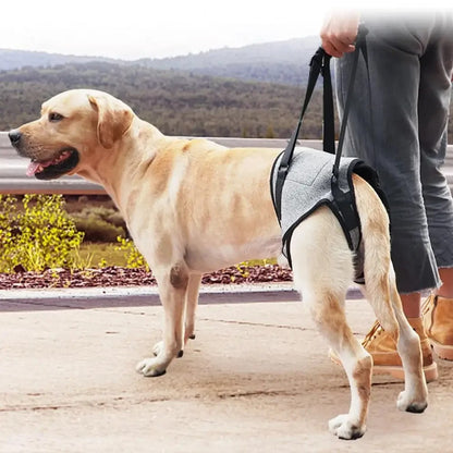 Dog Lift Support Harness - Mobility Aid for Hind Legs & Disabled Pets