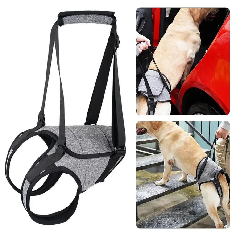 Dog Lift Support Harness - Mobility Aid for Hind Legs & Disabled Pets