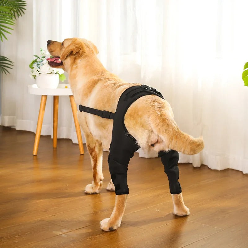 Double Knee Brace for Dogs - Cruciate Support & Pain Relief