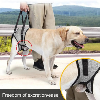 Dog Lift Support Harness - Mobility Aid for Hind Legs & Disabled Pets