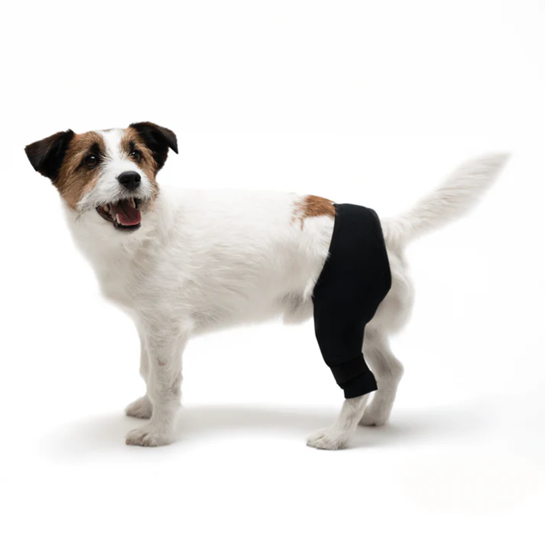 Knee Brace for Dogs - Cruciate Support