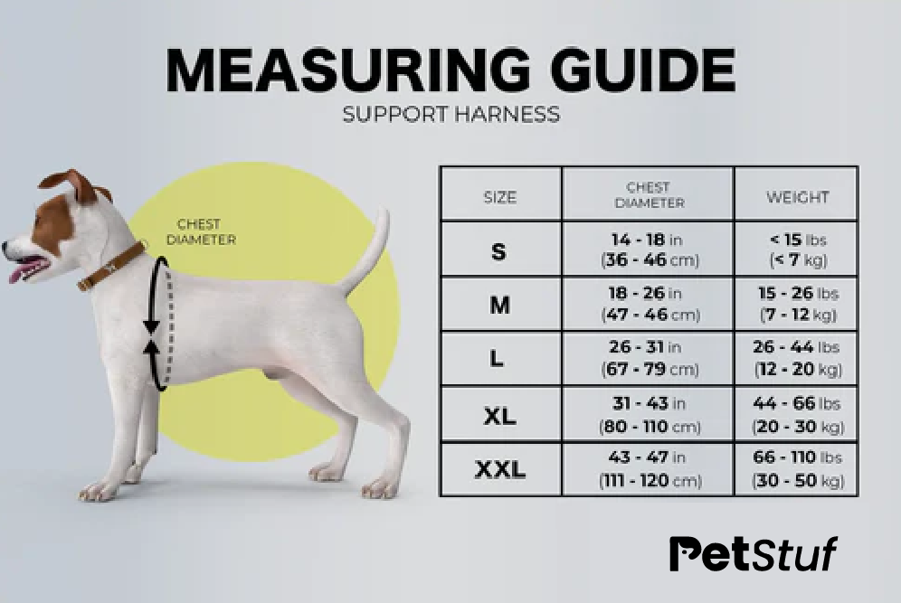 Dog Support Harness