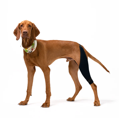 Knee Brace for Dogs - Cruciate Support