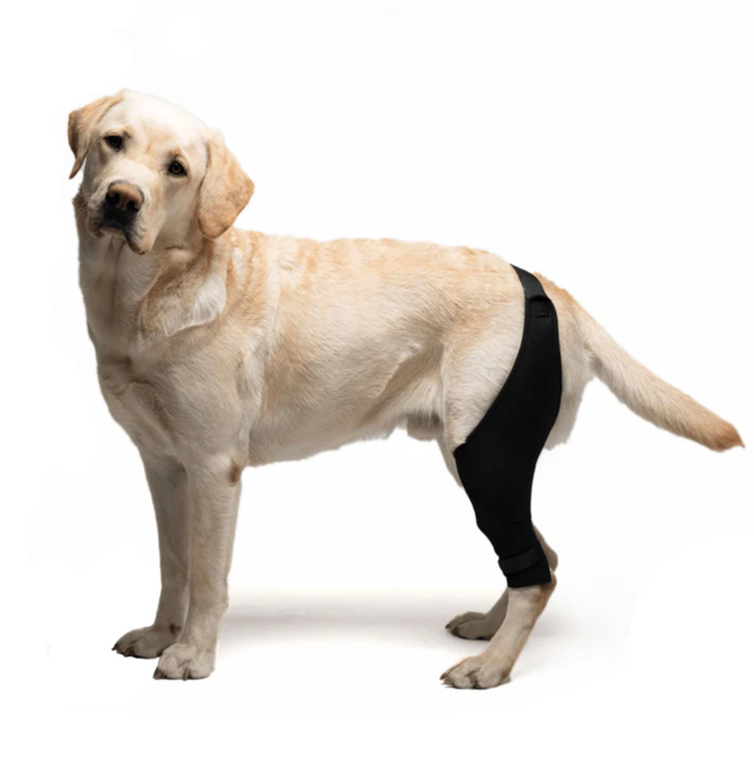 Knee Brace for Dogs - Cruciate Support